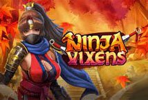 Ninja Vixens